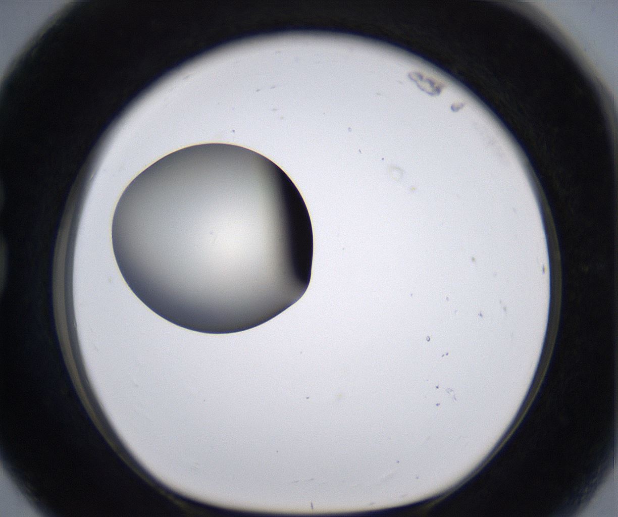 folderID196_plateID2196_batchID9963_wellNum80_profileID1_d1_r148870_ef.jpg