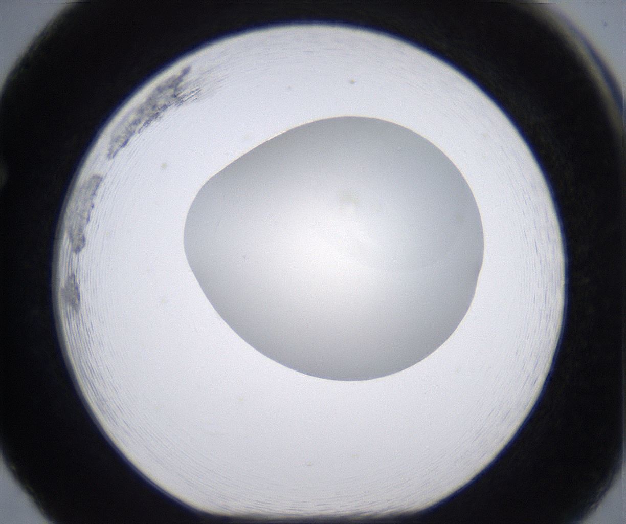 folderID196_plateID2196_batchID9963_wellNum65_profileID1_d1_r148855_ef.jpg