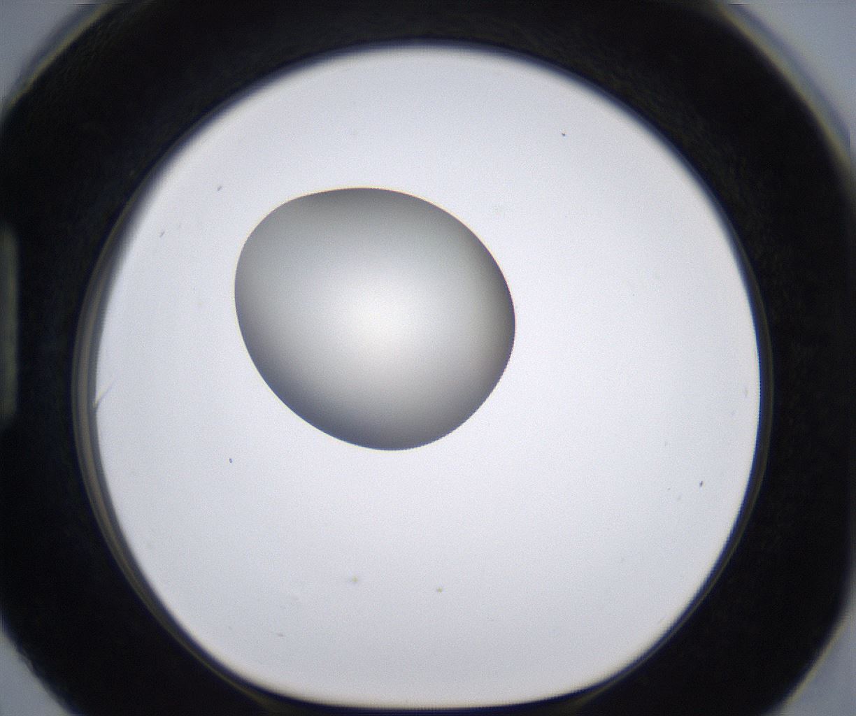 folderID196_plateID2196_batchID9963_wellNum90_profileID1_d1_r148880_ef.jpg