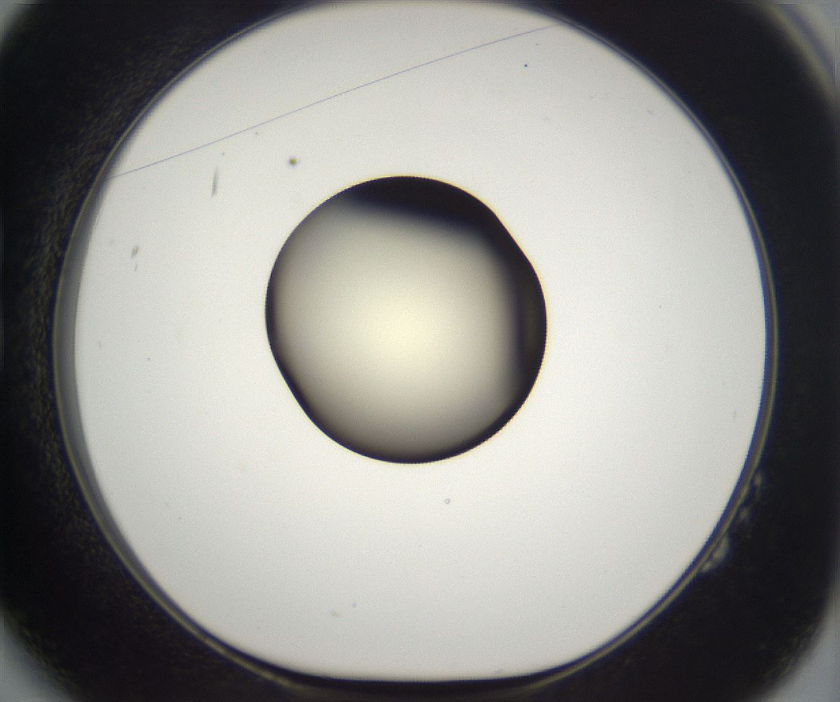 folderID197_plateID2197_batchID9967_wellNum14_profileID1_d1_r149092_ef.jpg