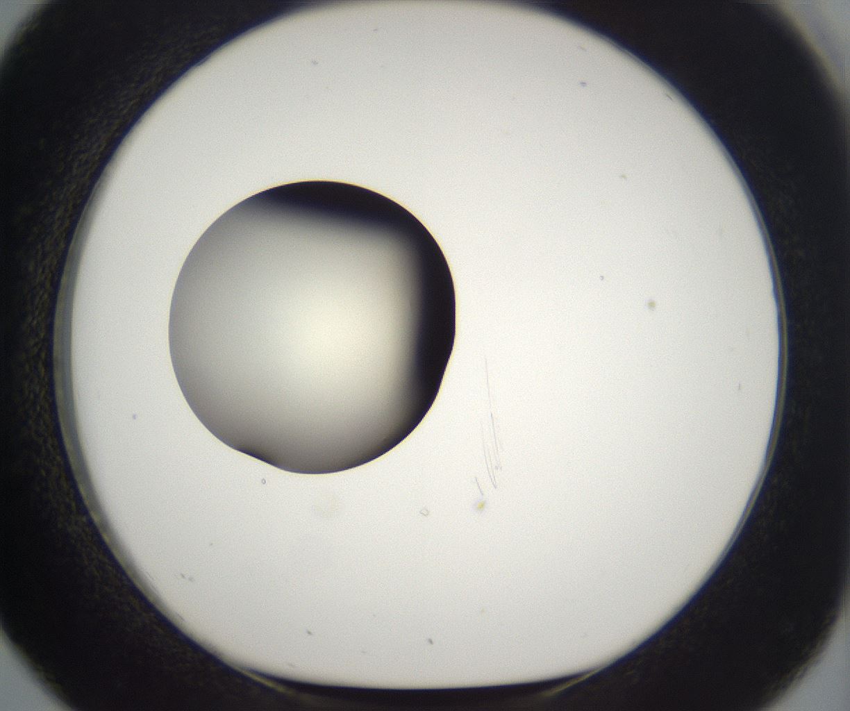 folderID197_plateID2197_batchID9967_wellNum26_profileID1_d1_r149104_ef.jpg