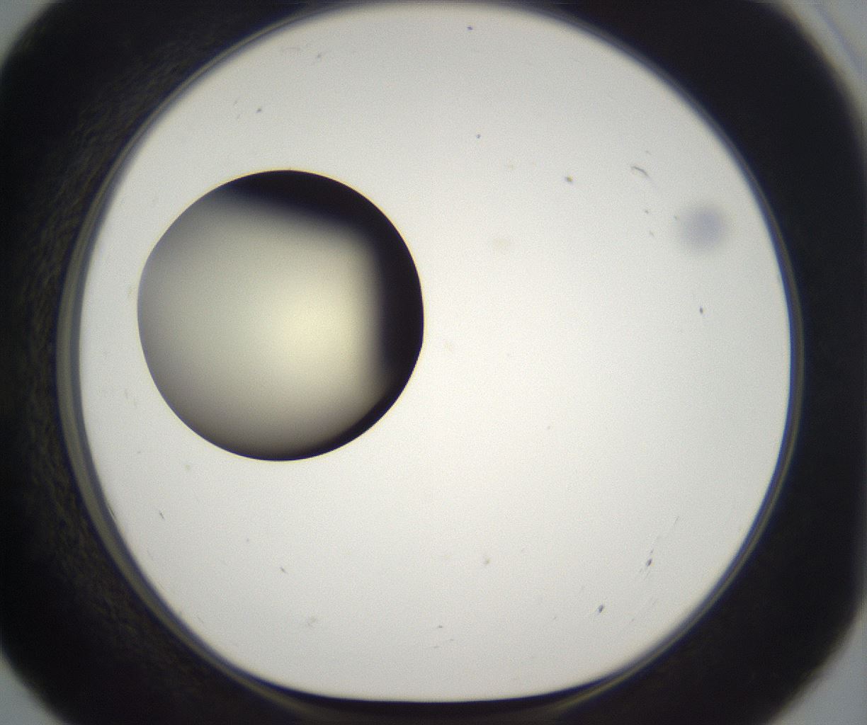 folderID197_plateID2197_batchID9967_wellNum55_profileID1_d1_r149133_ef.jpg