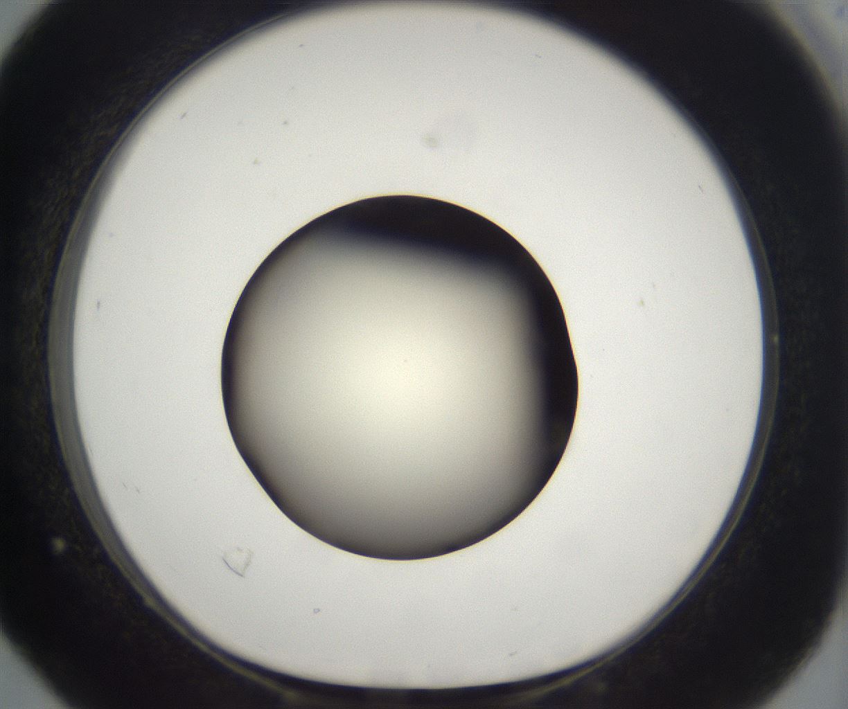 folderID197_plateID2197_batchID9967_wellNum16_profileID1_d1_r149094_ef.jpg