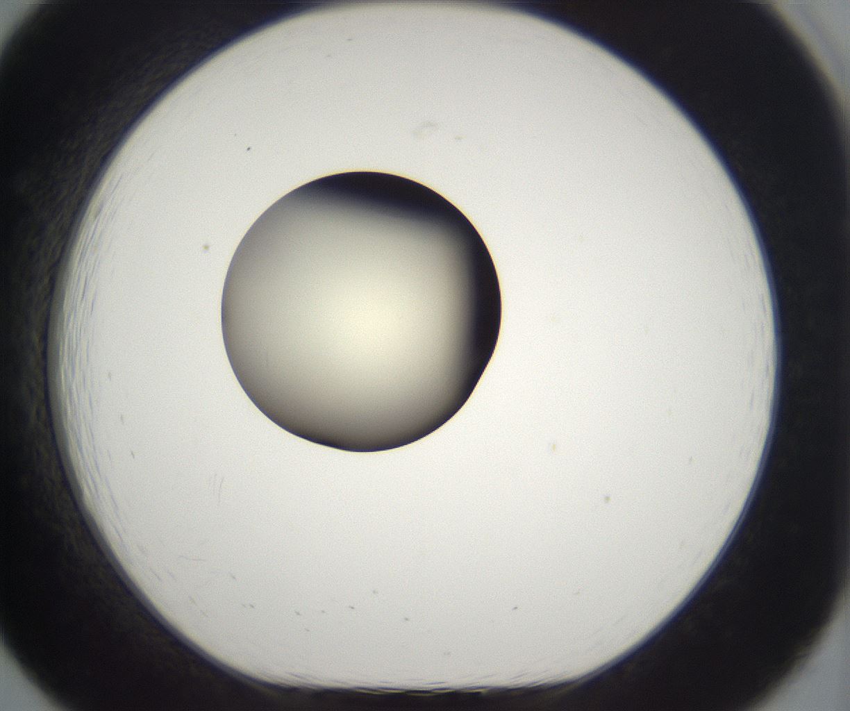 folderID197_plateID2197_batchID9967_wellNum19_profileID1_d1_r149097_ef.jpg