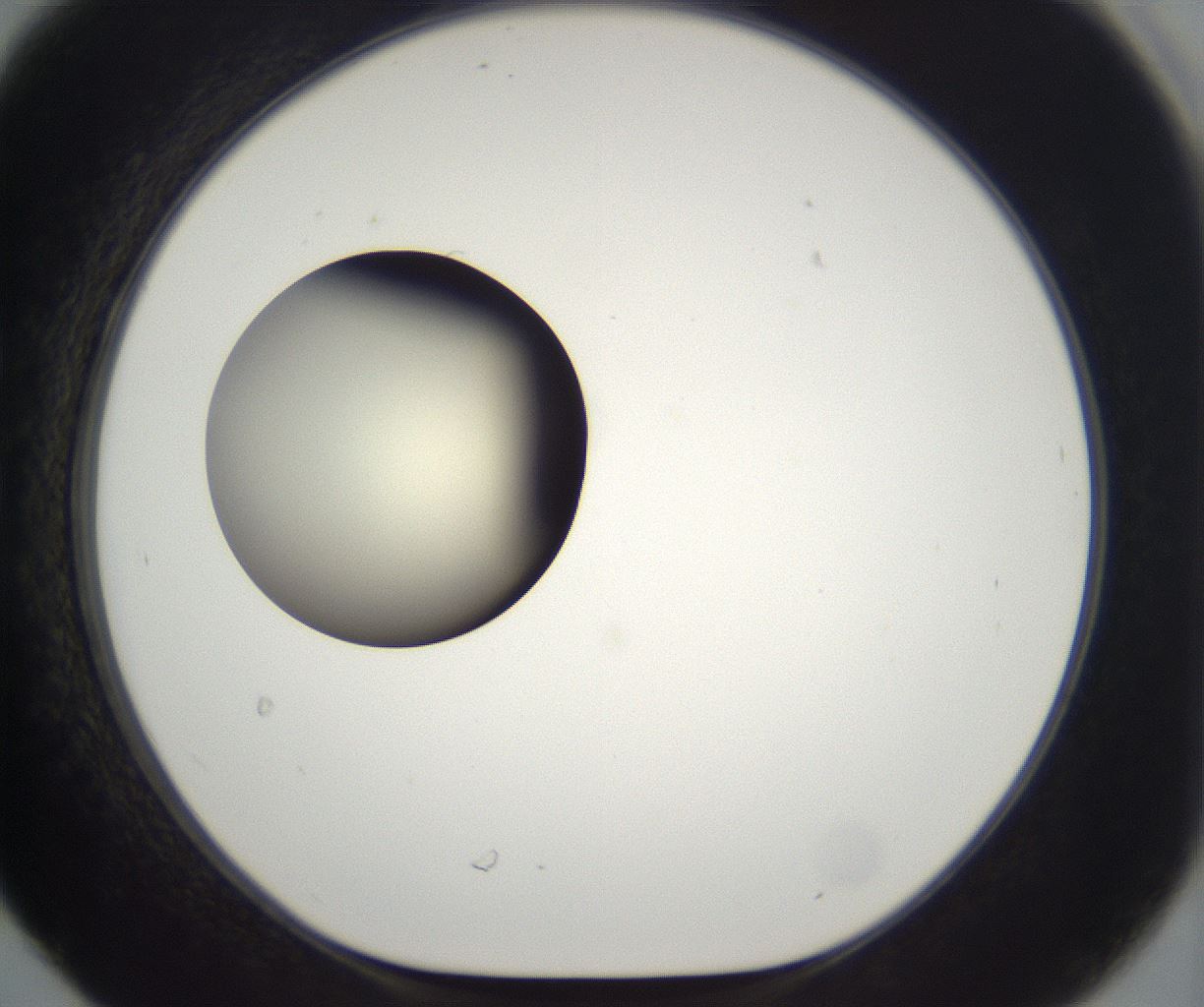 folderID197_plateID2197_batchID9967_wellNum30_profileID1_d1_r149108_ef.jpg