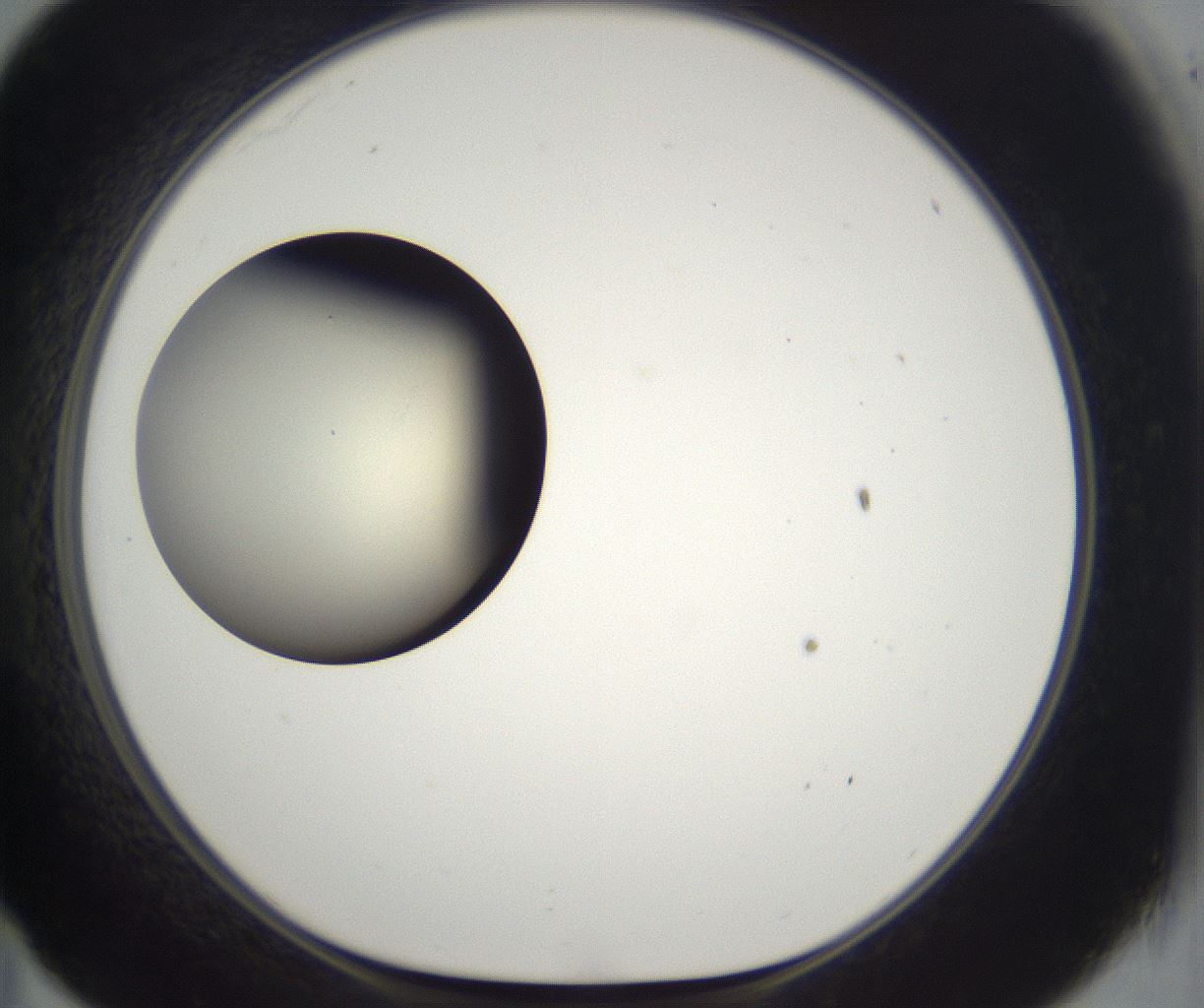 folderID197_plateID2197_batchID9967_wellNum35_profileID1_d1_r149113_ef.jpg