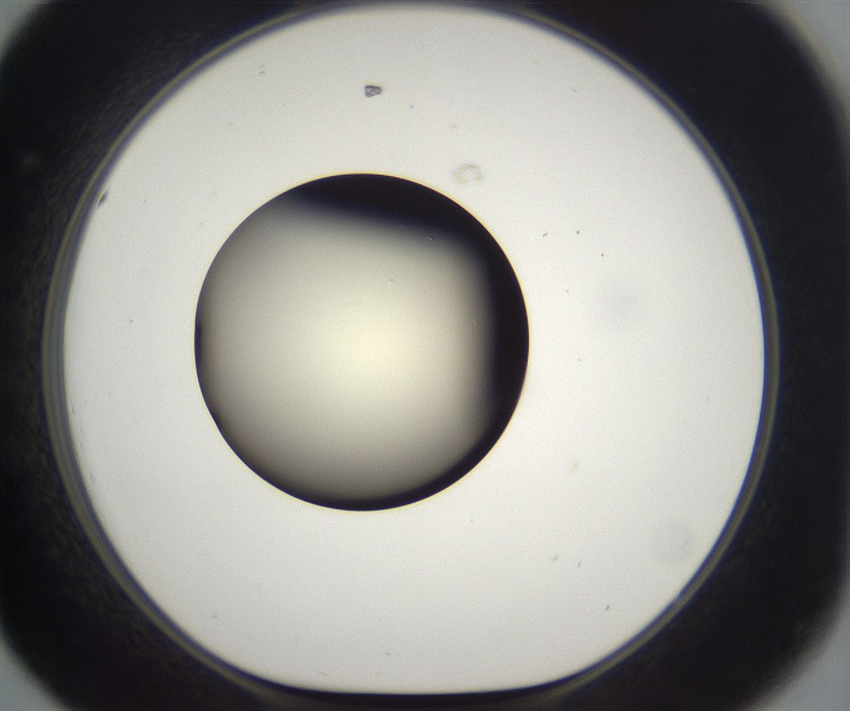 folderID197_plateID2197_batchID9967_wellNum44_profileID1_d1_r149122_ef.jpg
