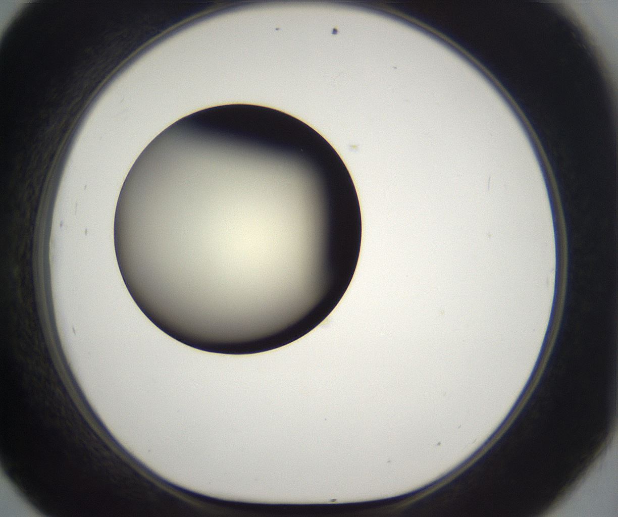 folderID197_plateID2197_batchID9967_wellNum45_profileID1_d1_r149123_ef.jpg