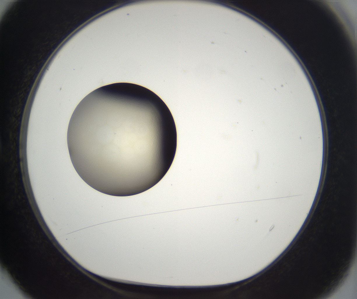 folderID197_plateID2197_batchID9967_wellNum4_profileID1_d1_r149082_ef.jpg