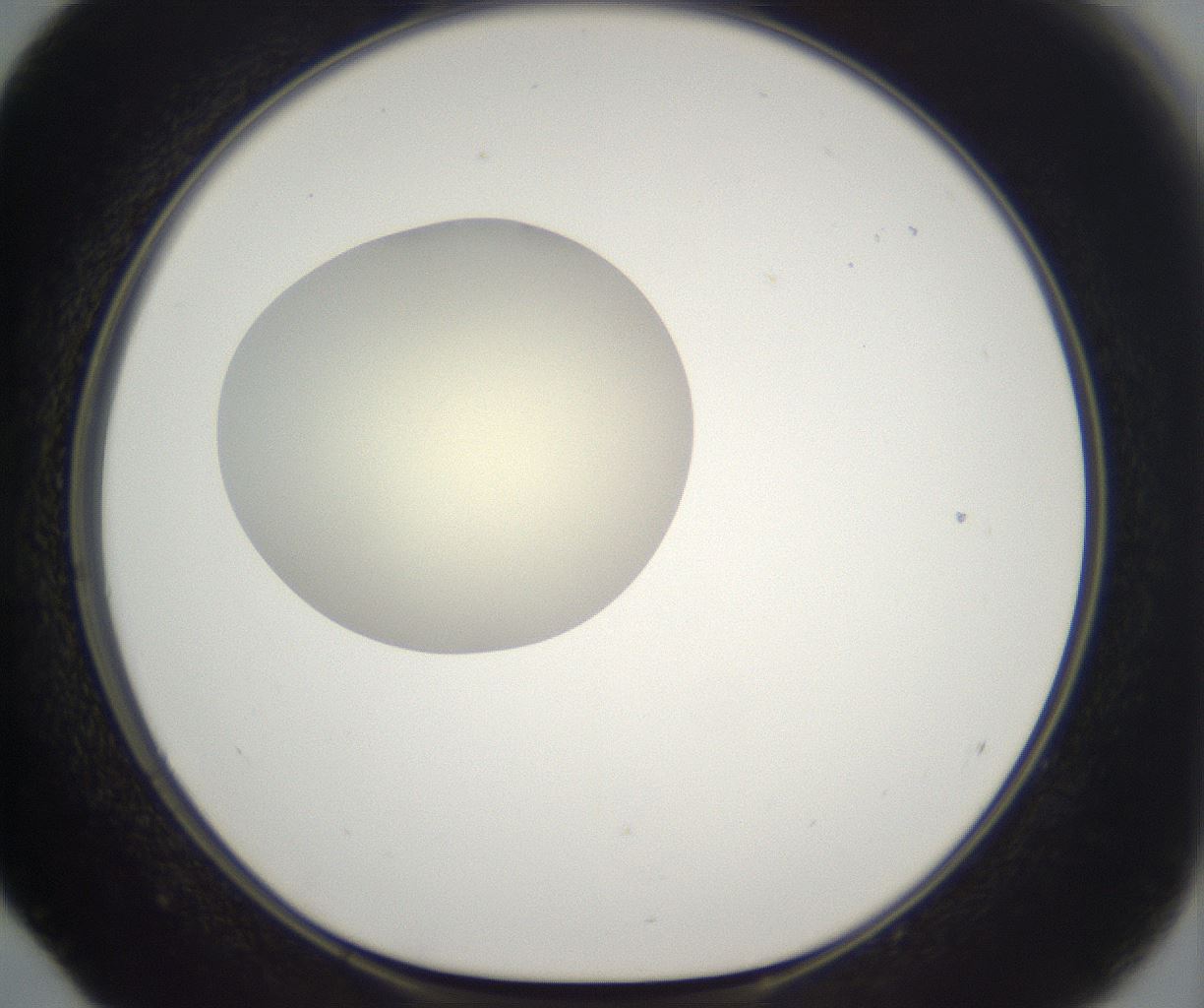 folderID197_plateID2197_batchID9967_wellNum52_profileID1_d1_r149130_ef.jpg