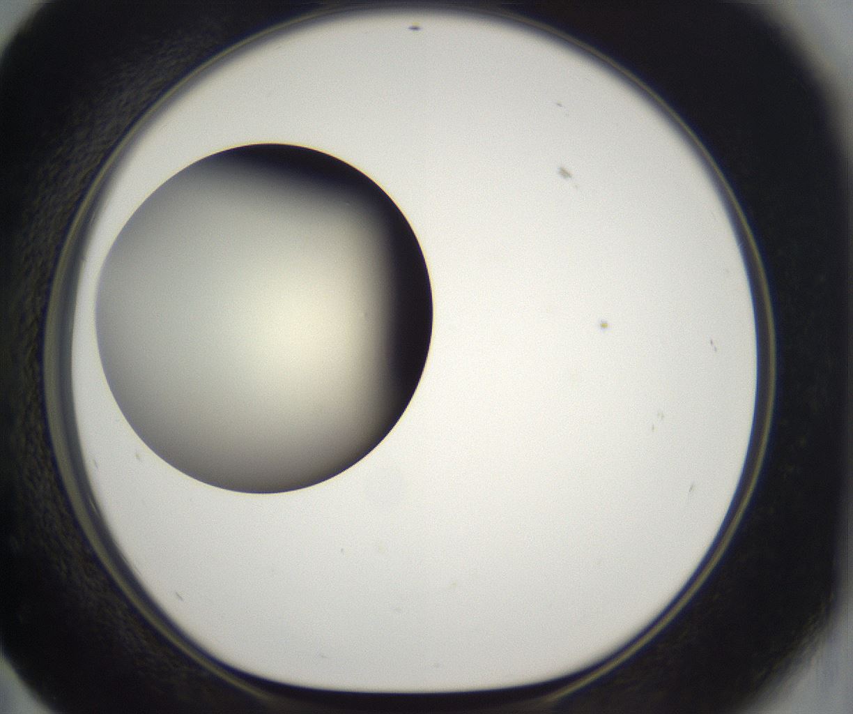 folderID197_plateID2197_batchID9967_wellNum59_profileID1_d1_r149137_ef.jpg