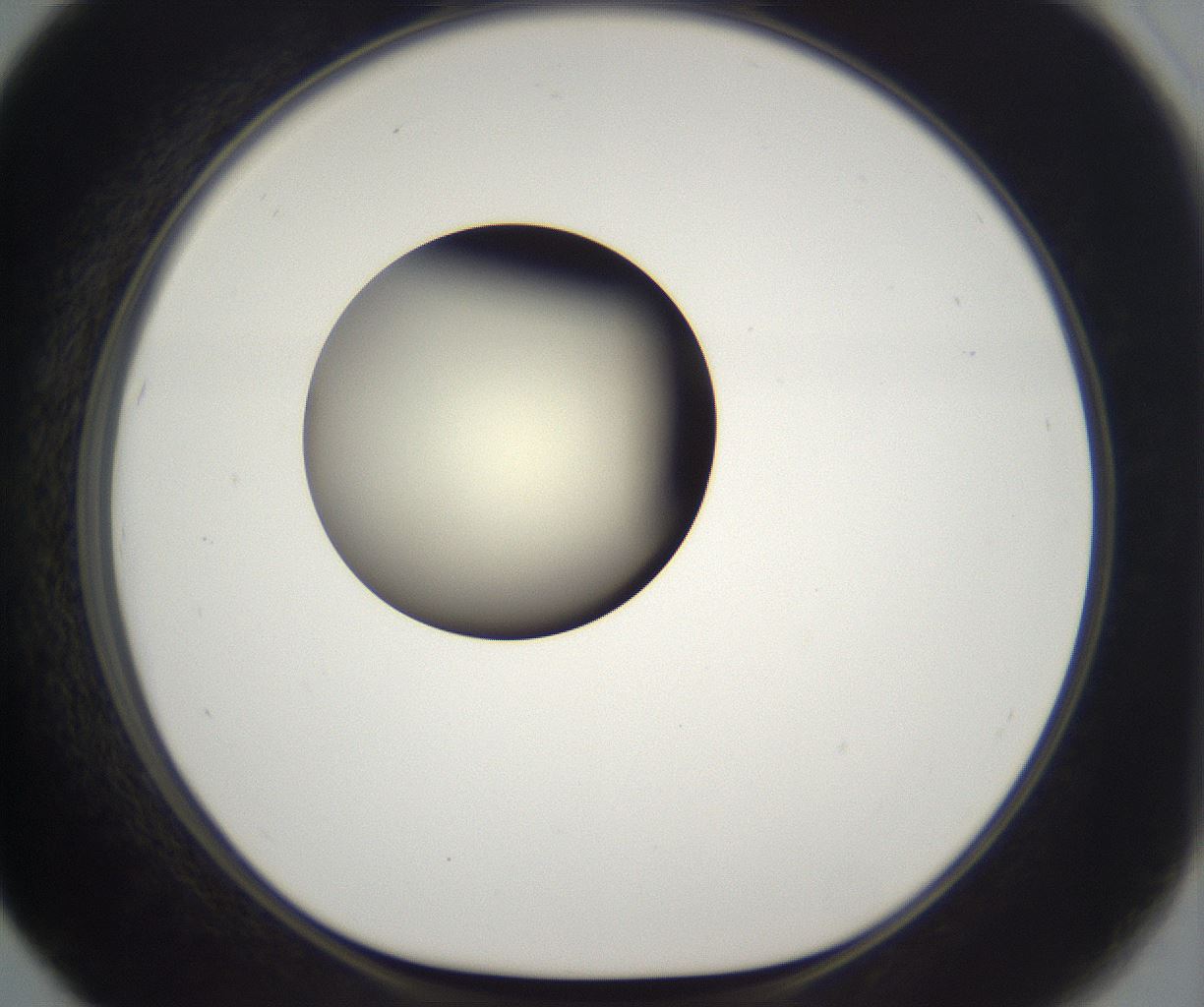 folderID197_plateID2197_batchID9967_wellNum67_profileID1_d1_r149145_ef.jpg