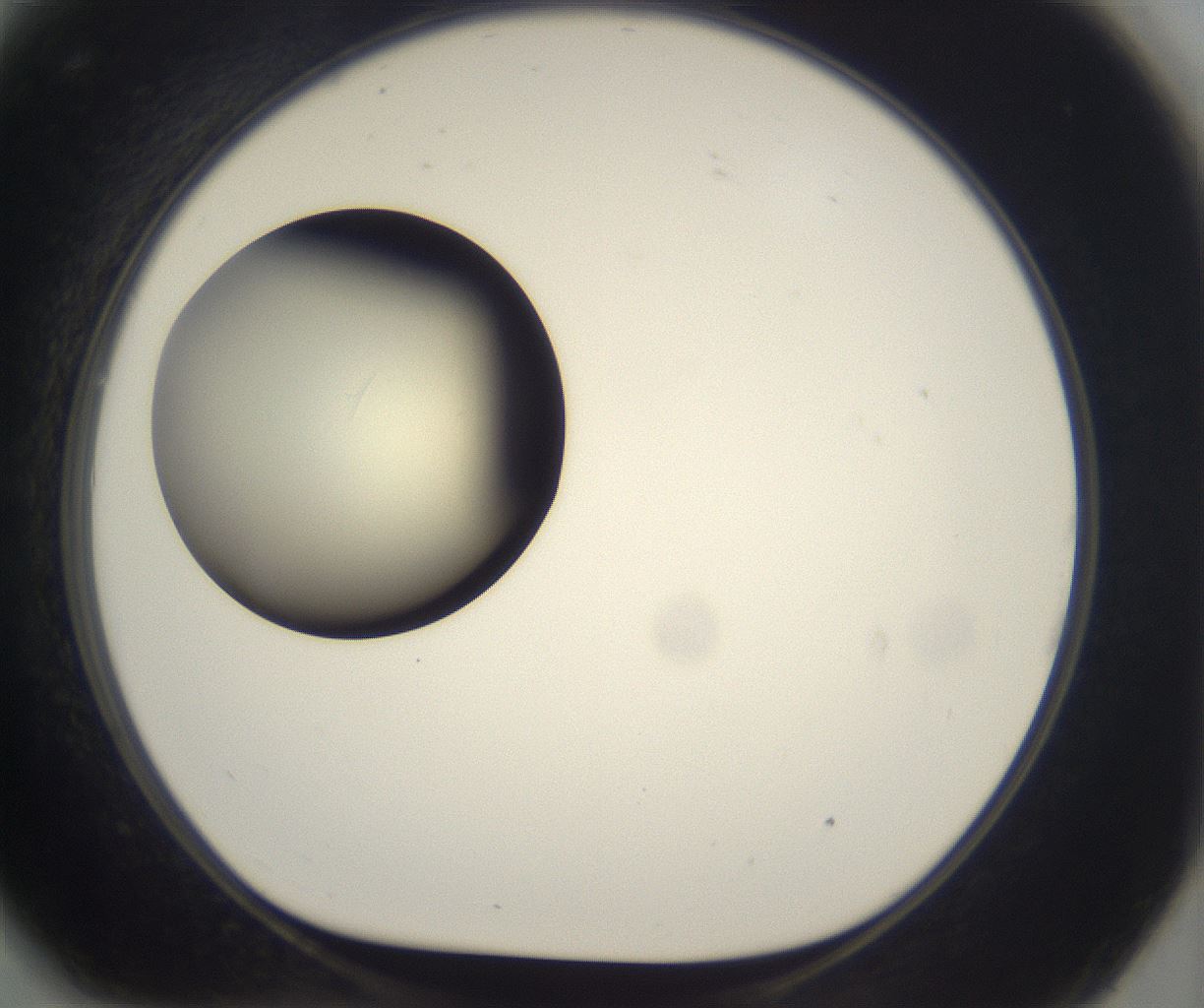 folderID197_plateID2197_batchID9967_wellNum81_profileID1_d1_r149159_ef.jpg