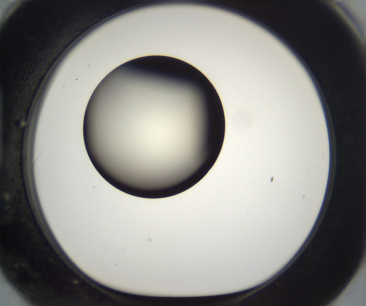 folderID197_plateID2197_batchID9967_wellNum90_profileID1_d1_r149168_ef.jpg