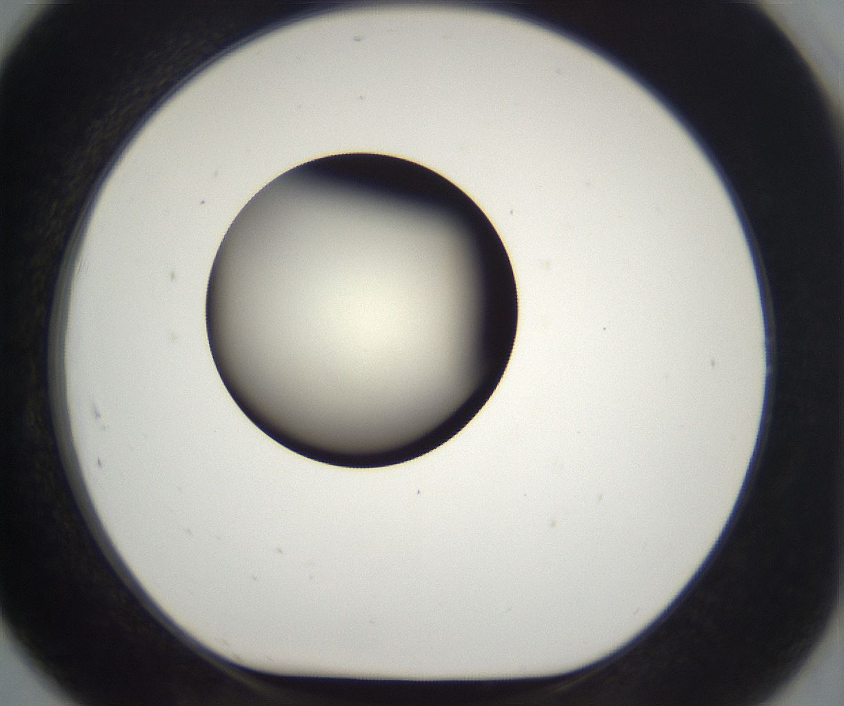 folderID197_plateID2197_batchID9967_wellNum91_profileID1_d1_r149169_ef.jpg