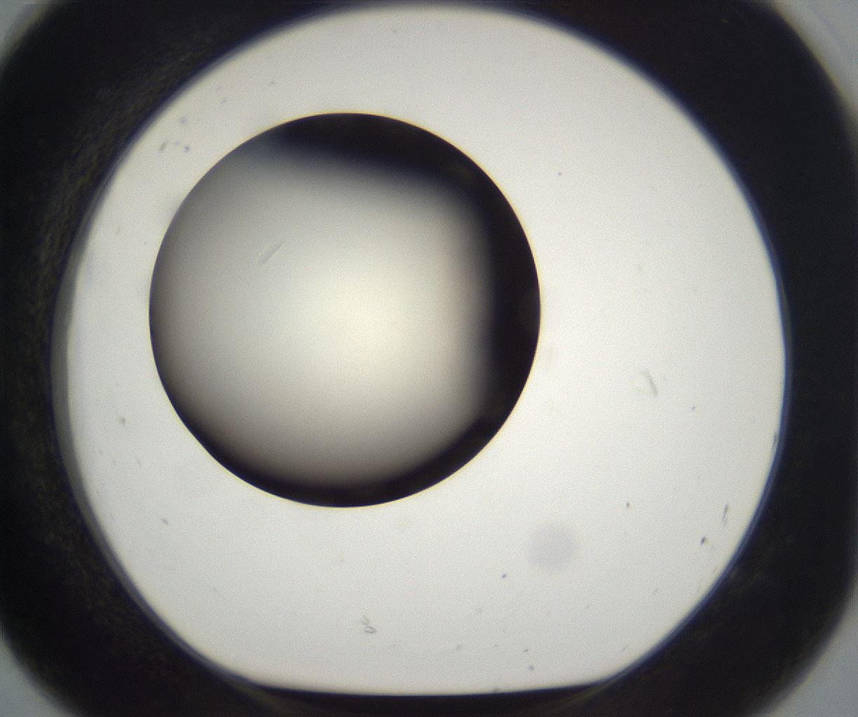 folderID197_plateID2197_batchID9967_wellNum92_profileID1_d1_r149170_ef.jpg