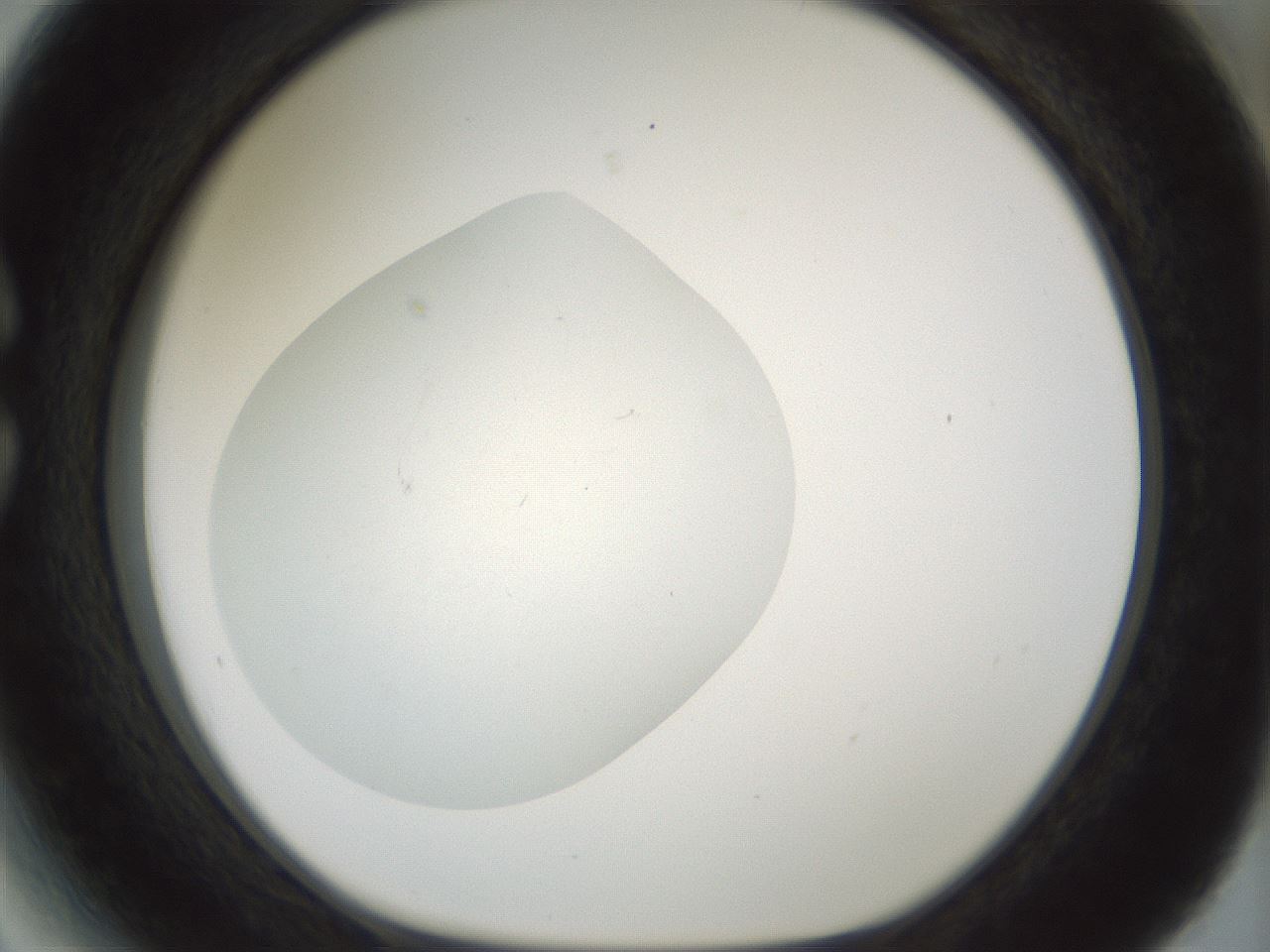 folderID198_plateID1198_batchID3489_wellNum27_profileID1_d1_r66105_ef.jpg