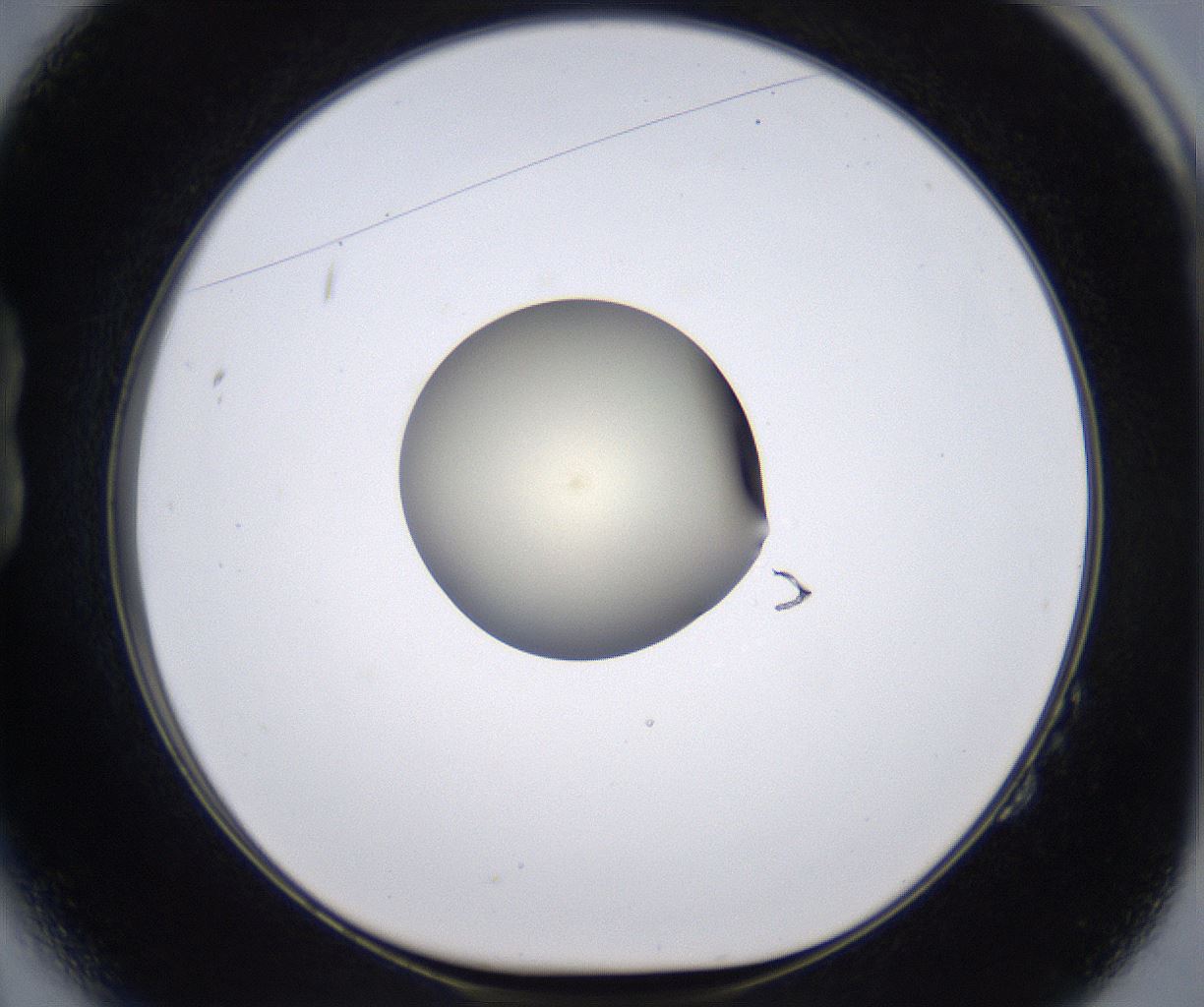 folderID198_plateID2198_batchID9966_wellNum14_profileID1_d1_r148996_ef.jpg