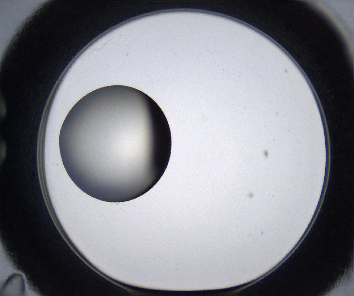 folderID198_plateID2198_batchID9966_wellNum35_profileID1_d1_r149017_ef.jpg
