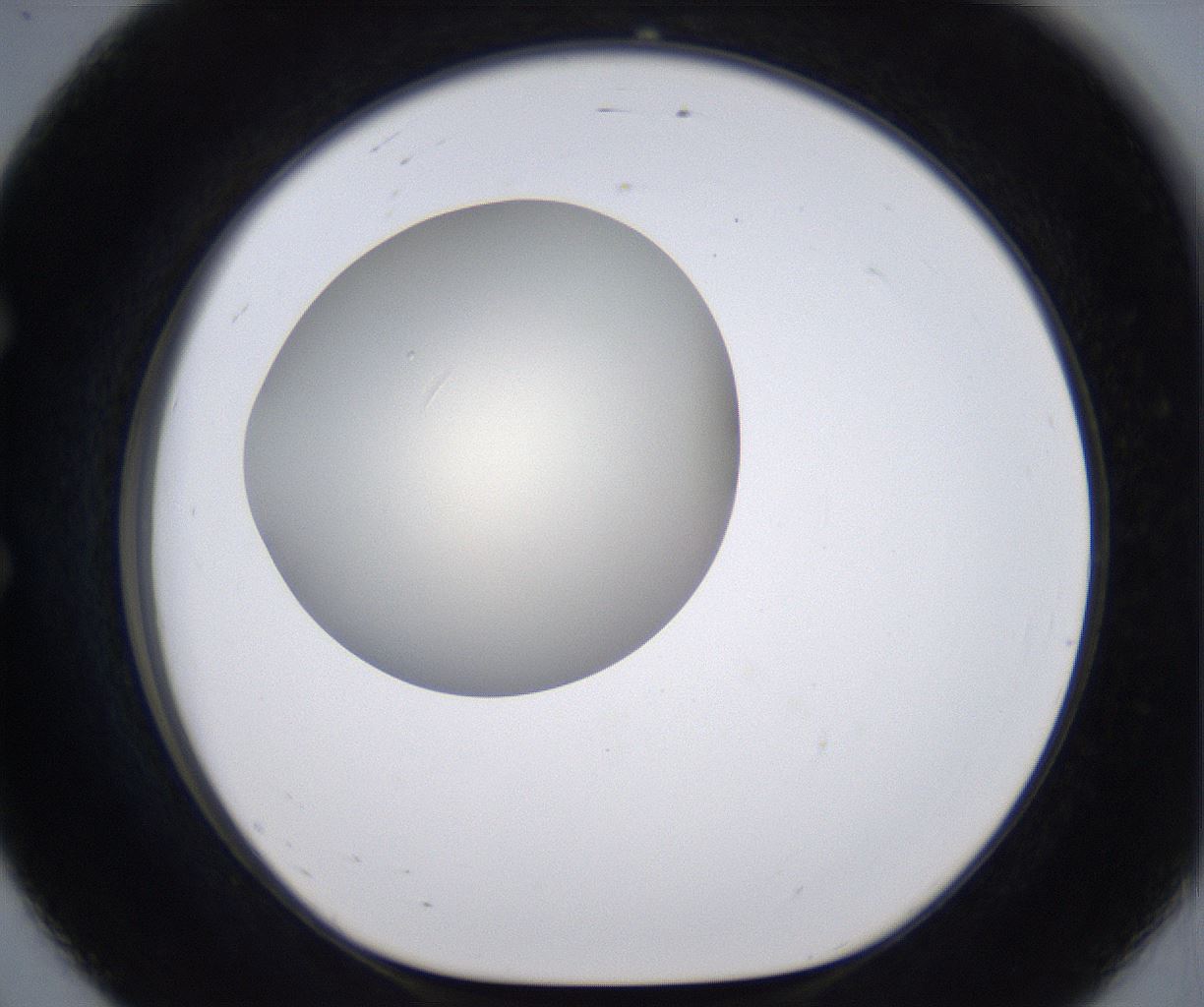 folderID198_plateID2198_batchID9966_wellNum56_profileID1_d1_r149038_ef.jpg