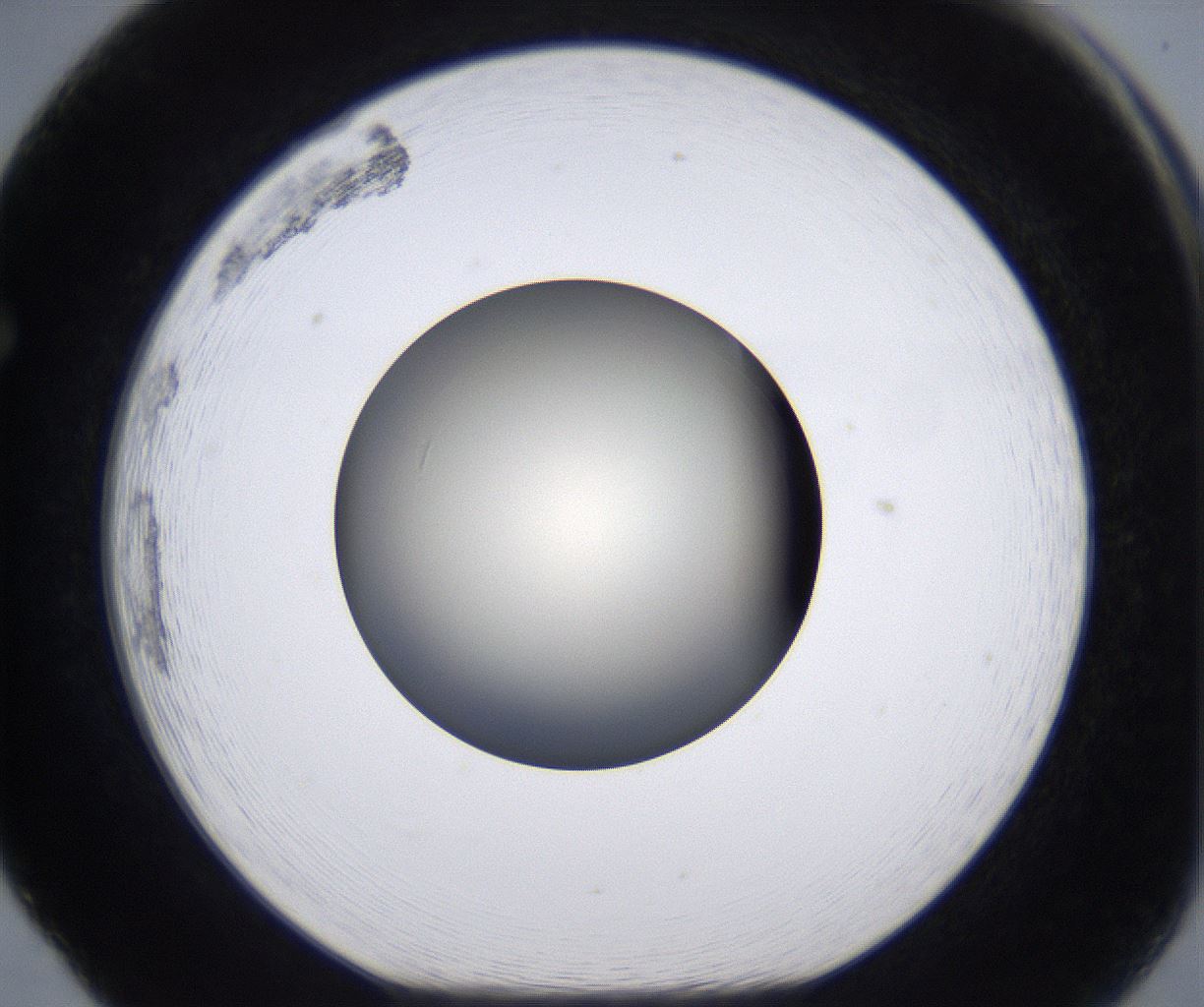folderID198_plateID2198_batchID9966_wellNum65_profileID1_d1_r149047_ef.jpg