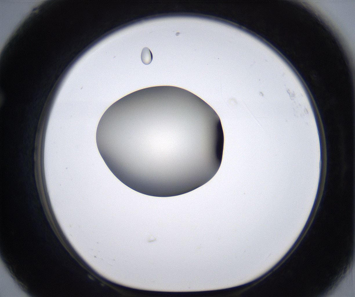folderID198_plateID2198_batchID9966_wellNum68_profileID1_d1_r149050_ef.jpg