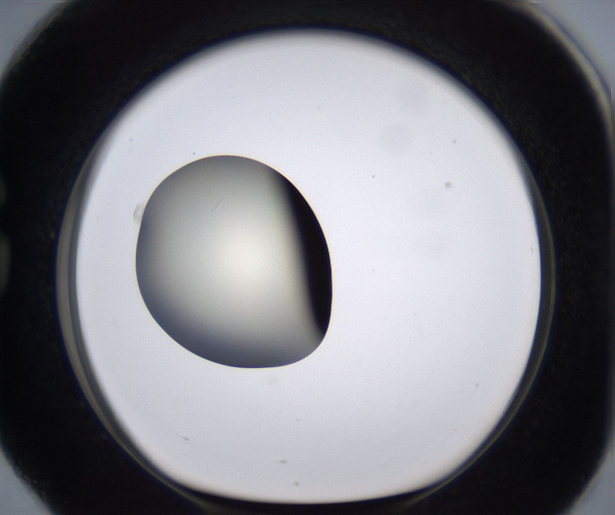 folderID198_plateID2198_batchID9966_wellNum76_profileID1_d1_r149058_ef.jpg