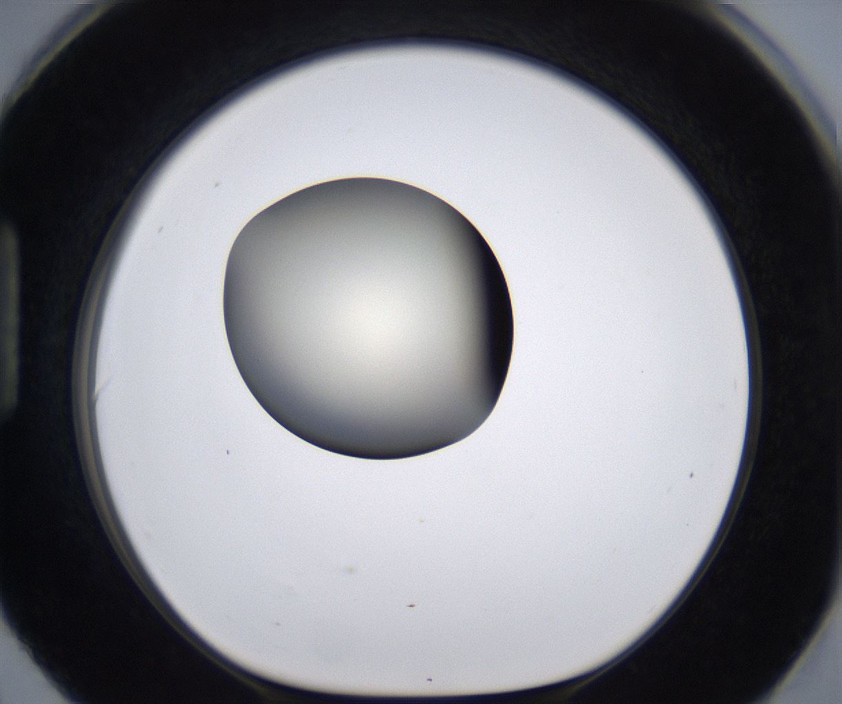folderID198_plateID2198_batchID9966_wellNum90_profileID1_d1_r149072_ef.jpg