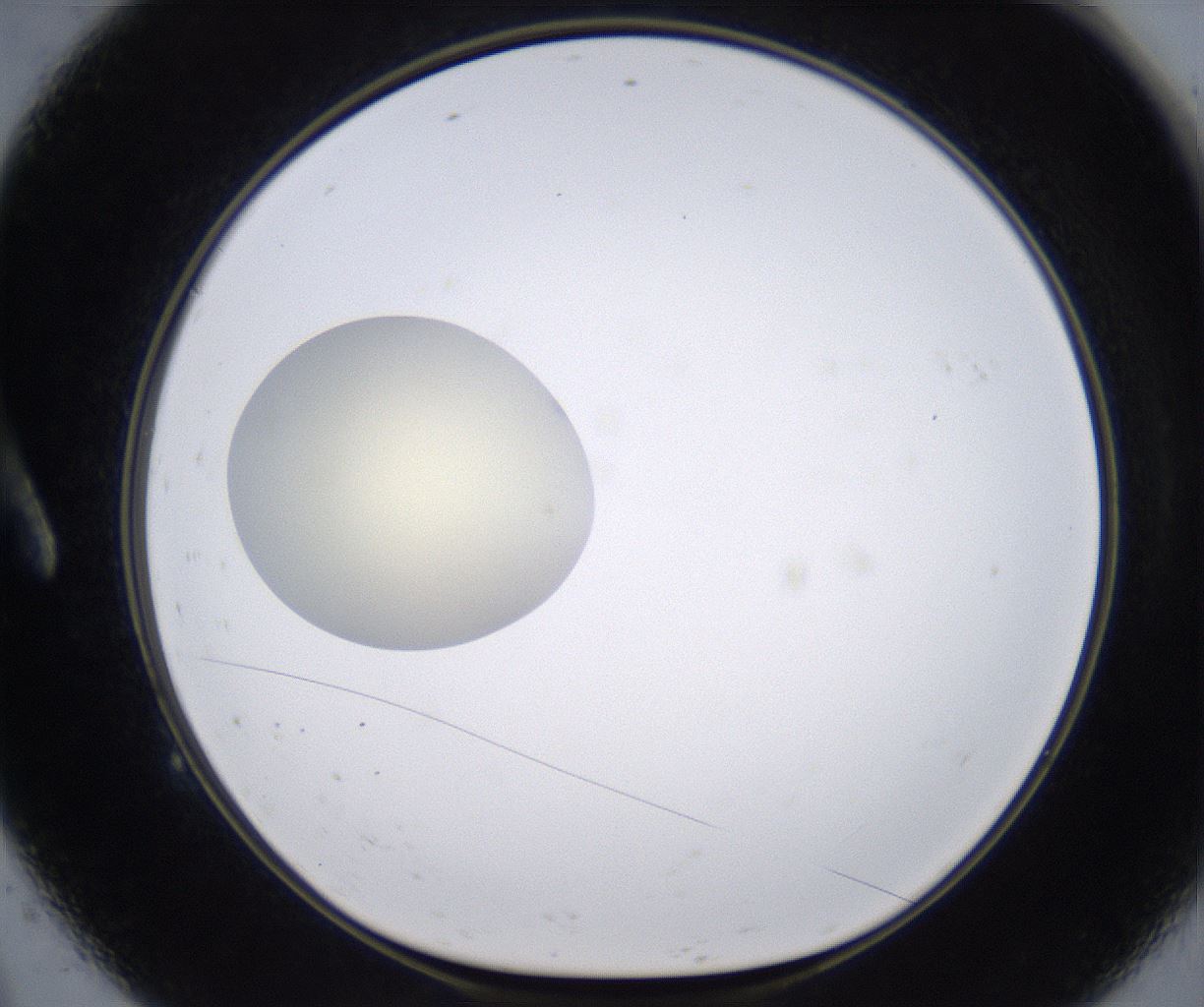 folderID198_plateID2198_batchID9966_wellNum9_profileID1_d1_r148991_ef.jpg