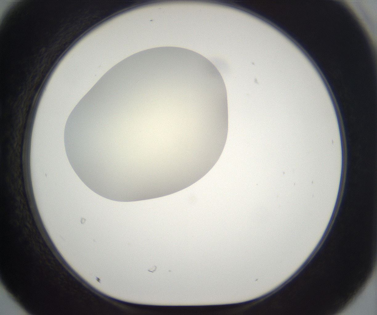 folderID199_plateID2199_batchID9972_wellNum30_profileID1_d1_r149300_ef.jpg