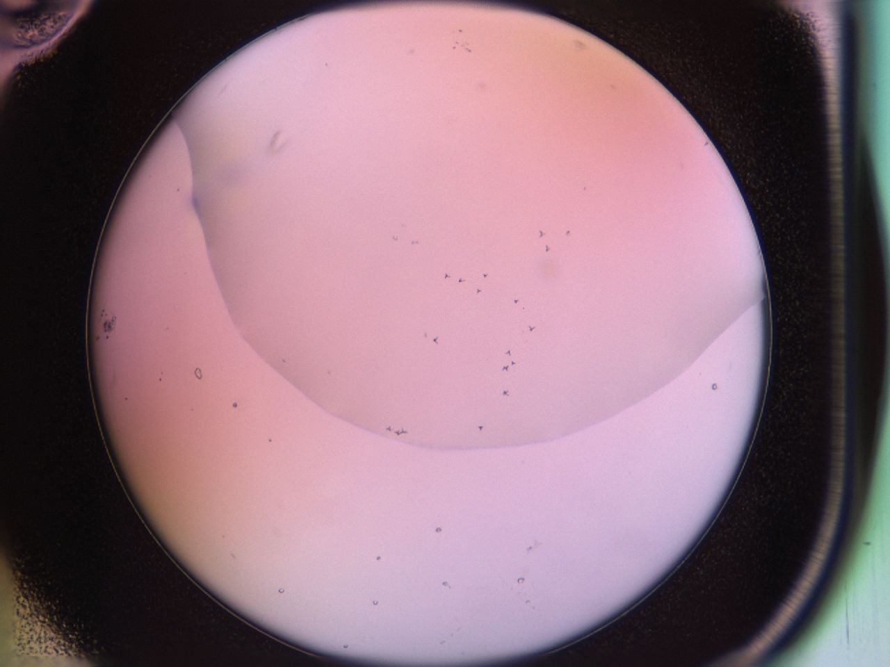 02nj_B10_ImagerDefaults_6.jpg
