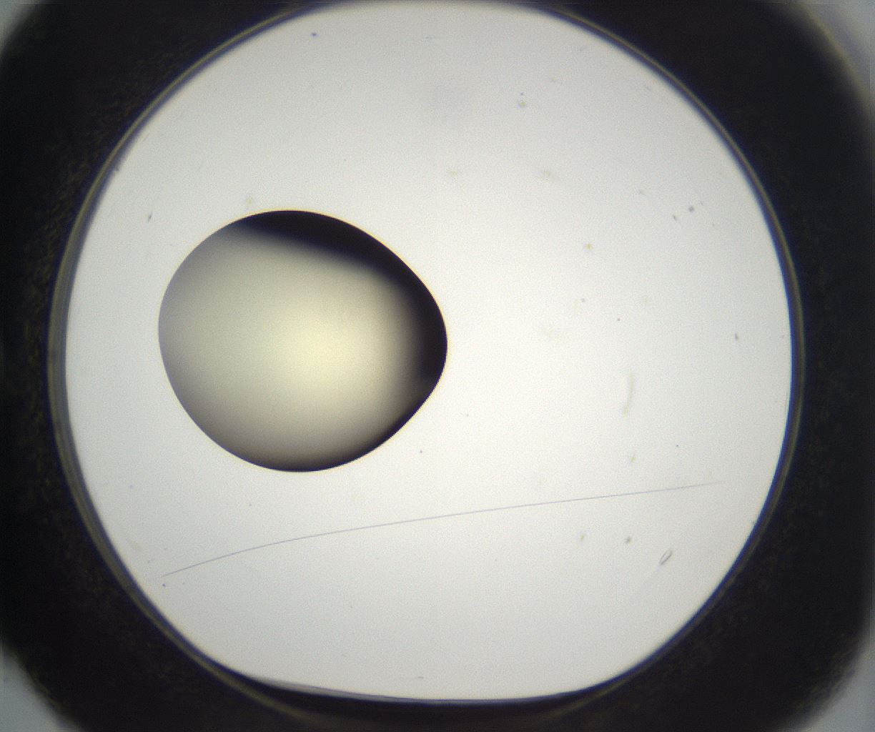 folderID199_plateID2199_batchID9972_wellNum4_profileID1_d1_r149274_ef.jpg