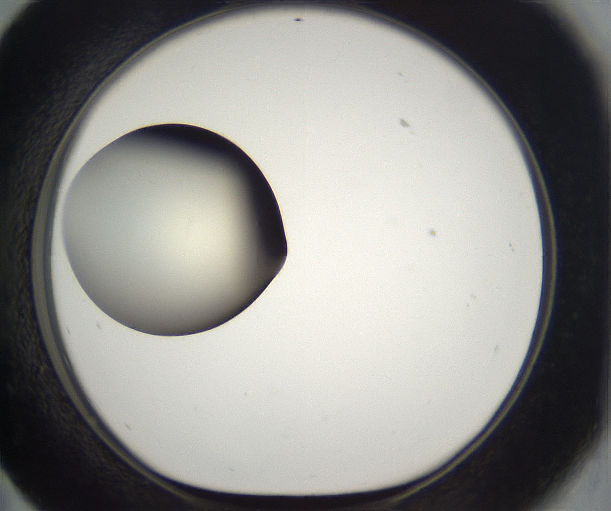 folderID199_plateID2199_batchID9972_wellNum59_profileID1_d1_r149329_ef.jpg