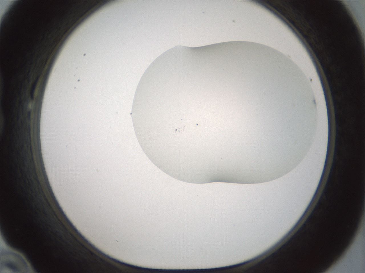 folderID200_plateID1200_batchID3525_wellNum22_profileID1_d1_r66388_ef.jpg