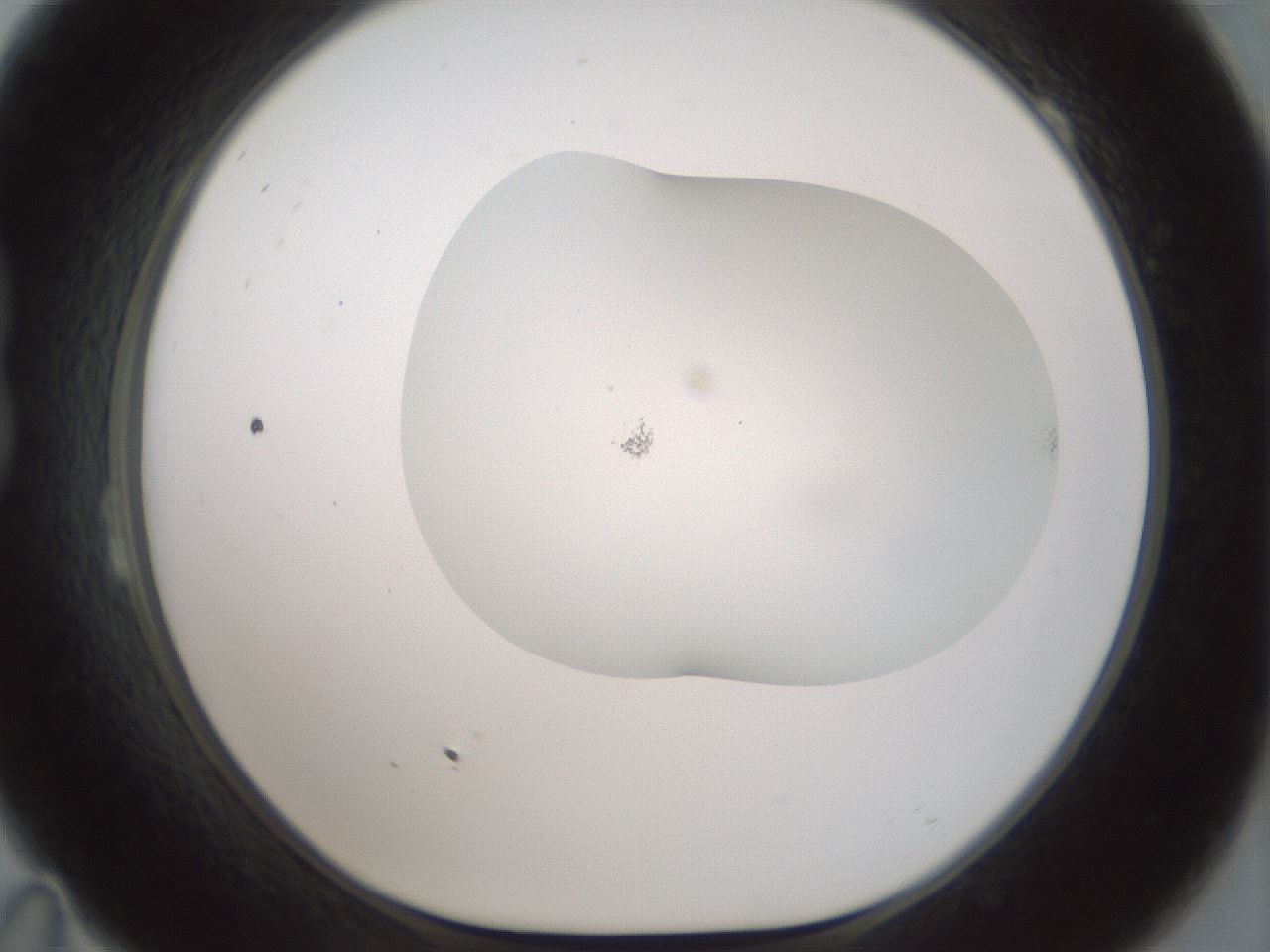 folderID200_plateID1200_batchID3525_wellNum23_profileID1_d1_r66389_ef.jpg