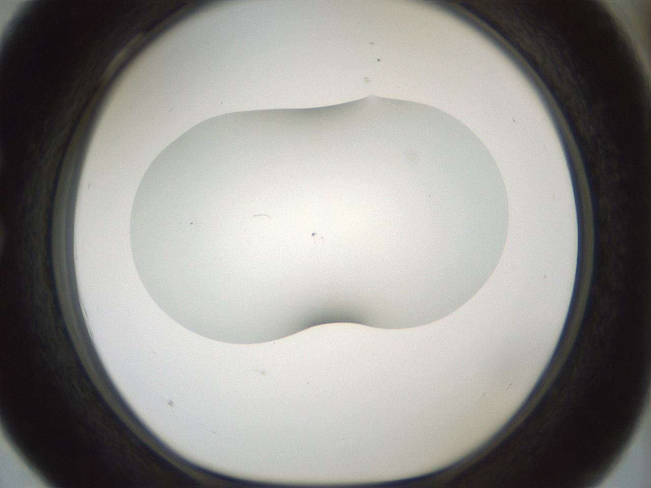 folderID200_plateID1200_batchID3525_wellNum28_profileID1_d1_r66394_ef.jpg