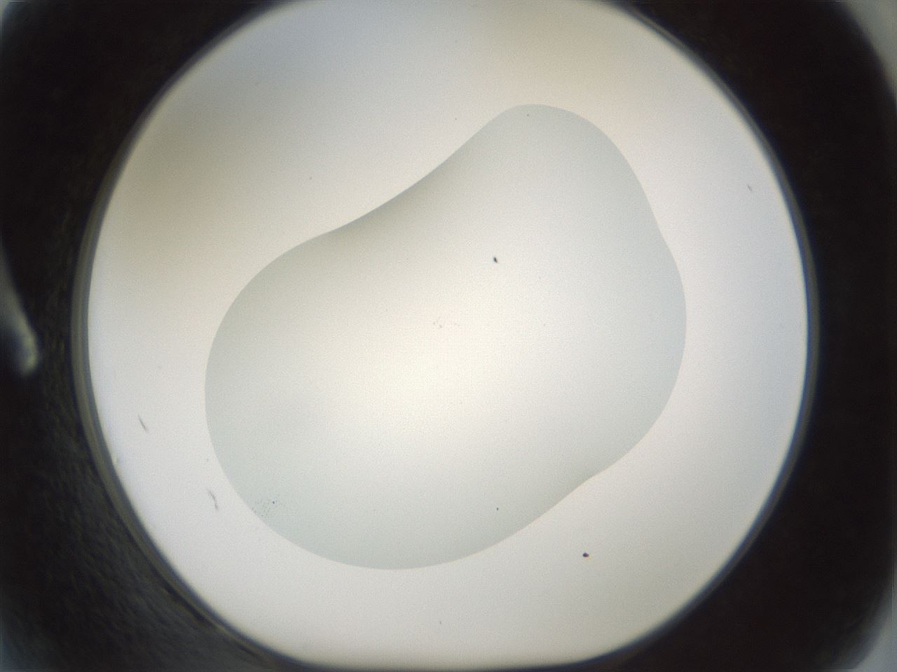 folderID200_plateID1200_batchID3525_wellNum2_profileID1_d1_r66368_ef.jpg