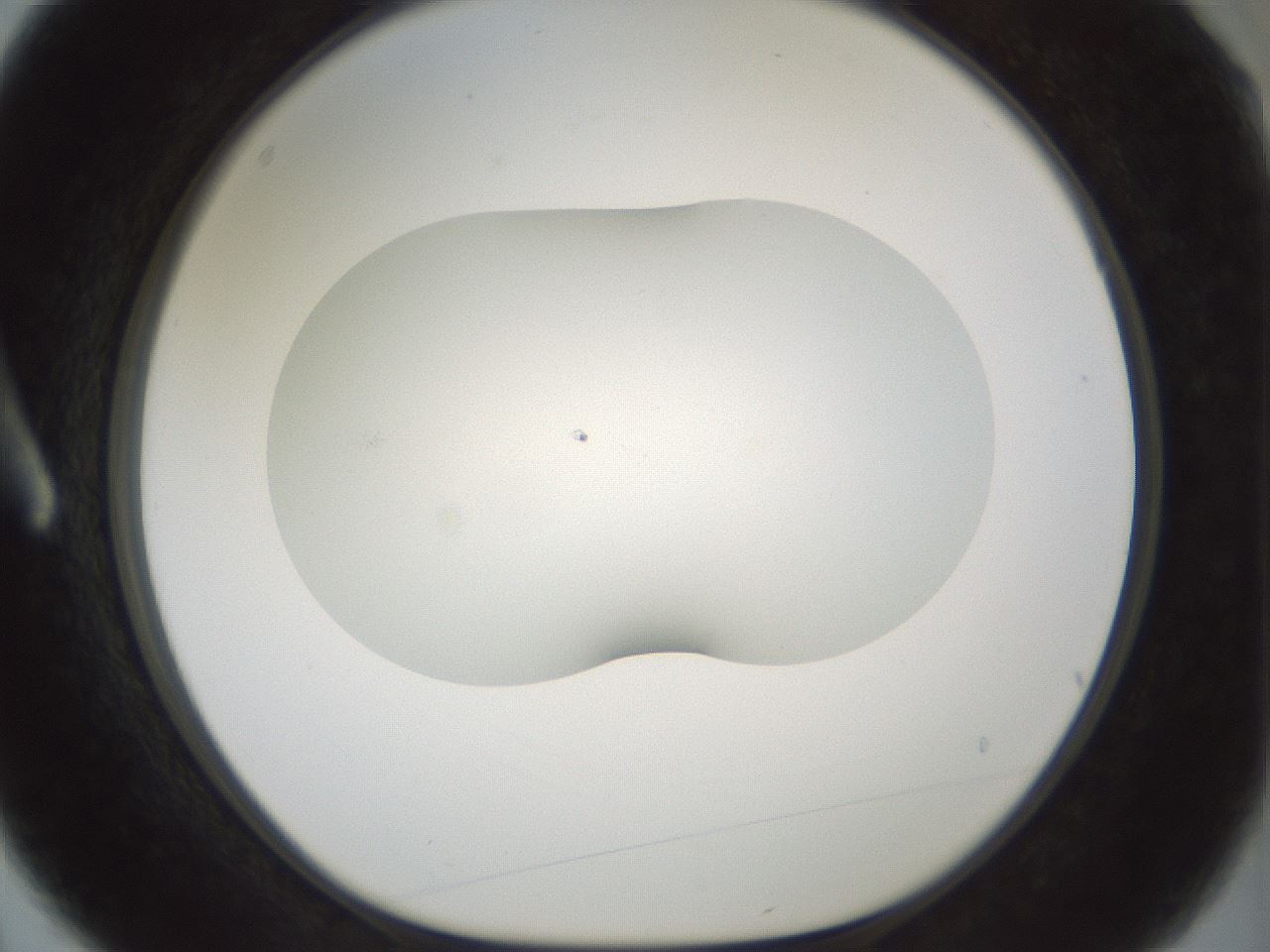 folderID200_plateID1200_batchID3525_wellNum3_profileID1_d1_r66369_ef.jpg