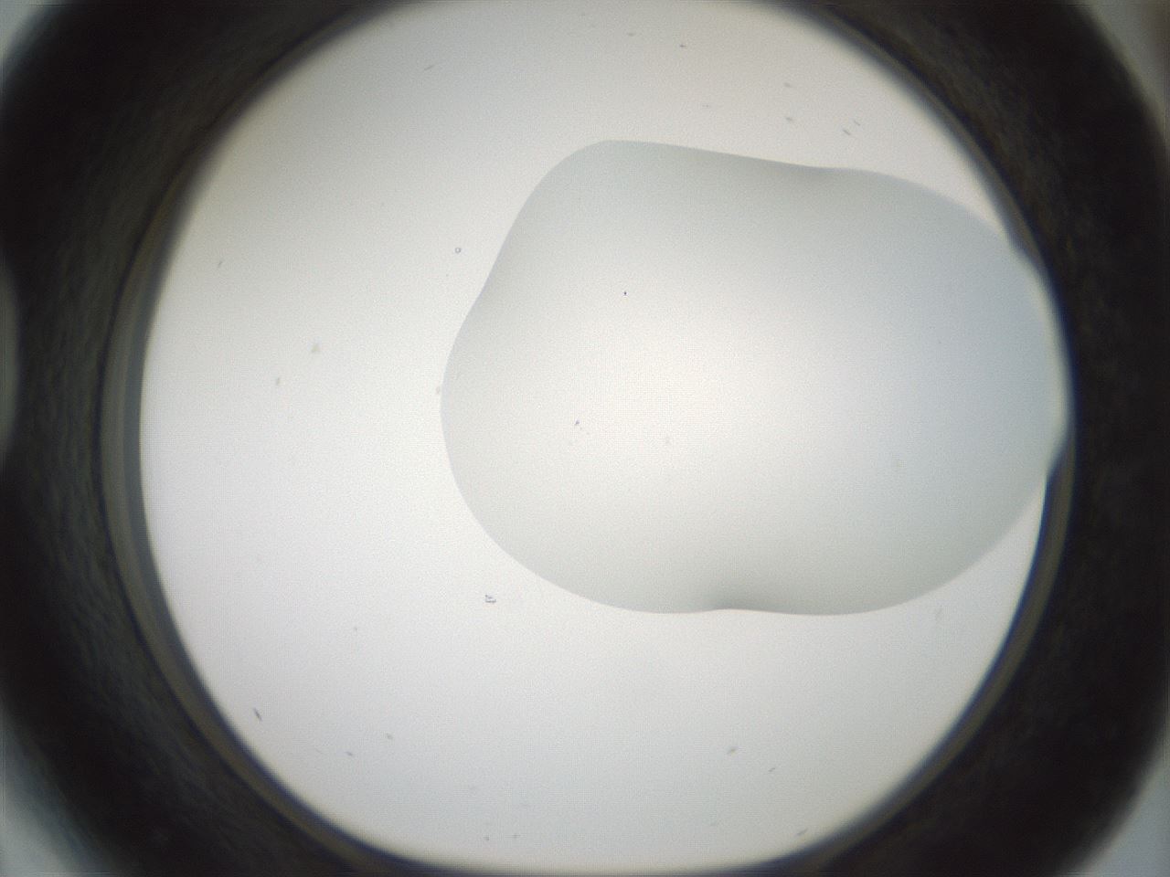 folderID200_plateID1200_batchID3525_wellNum41_profileID1_d1_r66407_ef.jpg