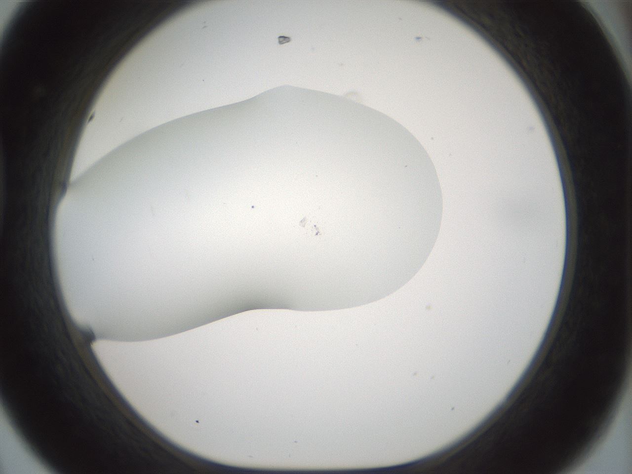 folderID200_plateID1200_batchID3525_wellNum44_profileID1_d1_r66410_ef.jpg