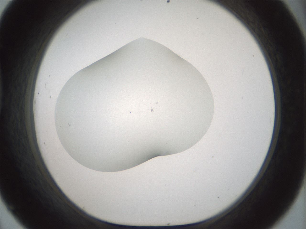 folderID200_plateID1200_batchID3525_wellNum45_profileID1_d1_r66411_ef.jpg