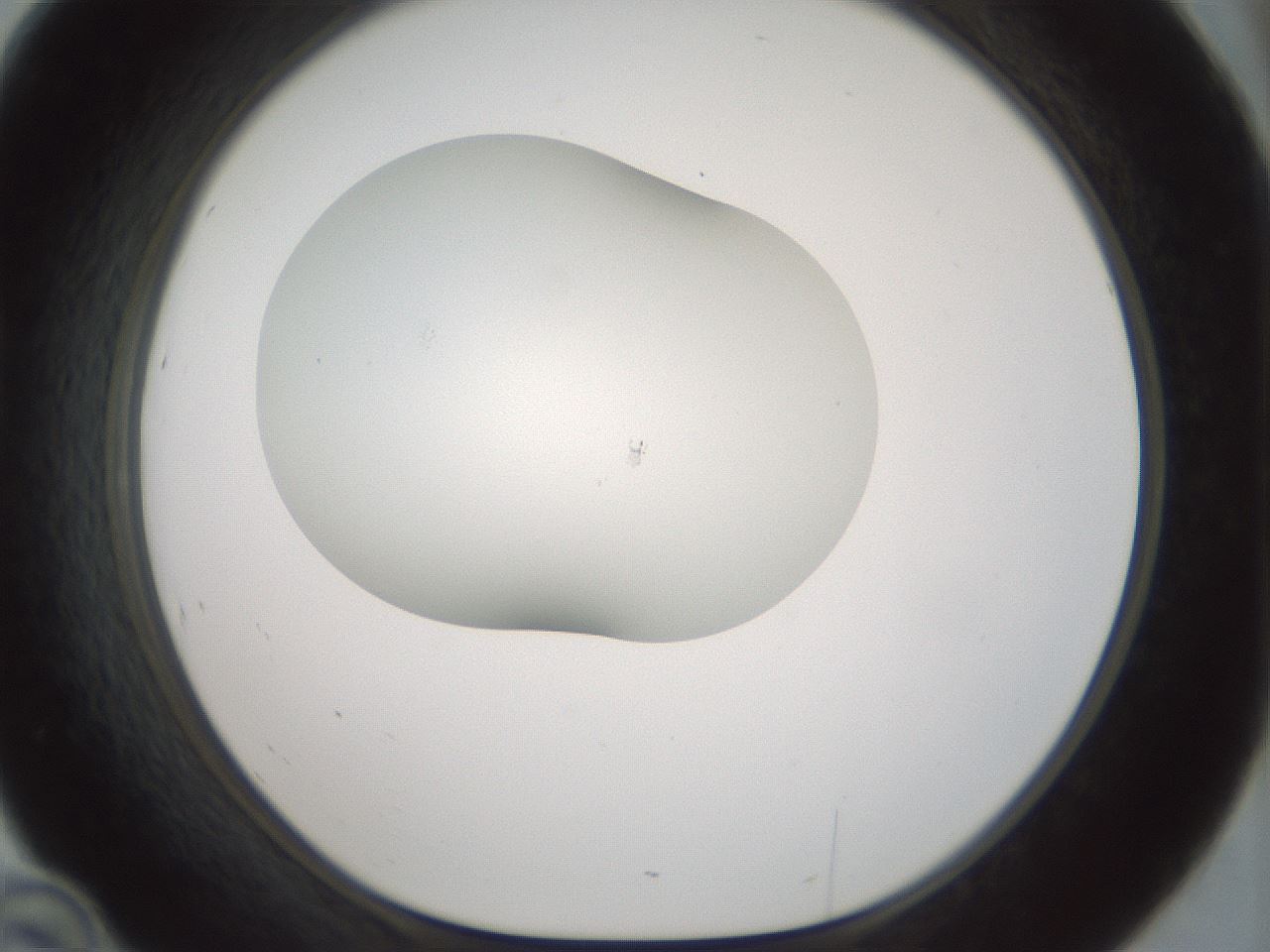 folderID200_plateID1200_batchID3525_wellNum46_profileID1_d1_r66412_ef.jpg