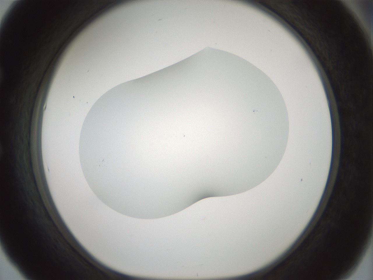 folderID200_plateID1200_batchID3525_wellNum53_profileID1_d1_r66419_ef.jpg