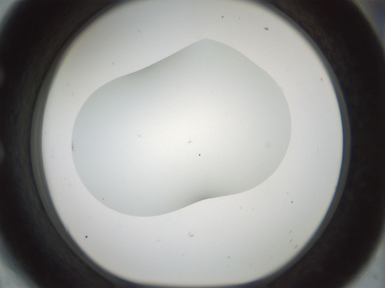folderID200_plateID1200_batchID3525_wellNum54_profileID1_d1_r66420_ef.jpg
