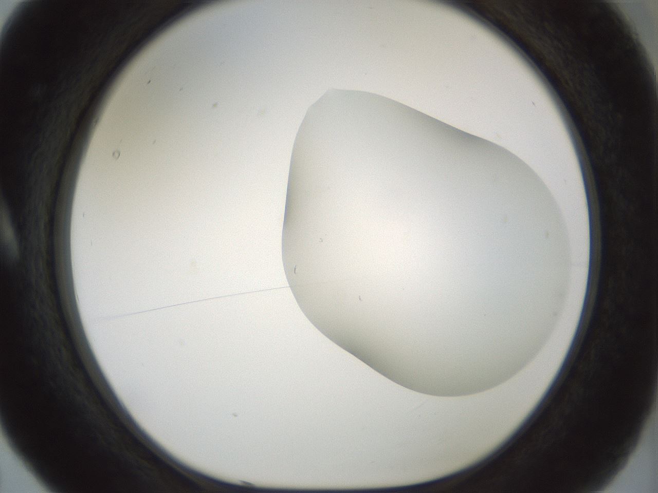 folderID200_plateID1200_batchID3525_wellNum5_profileID1_d1_r66371_ef.jpg