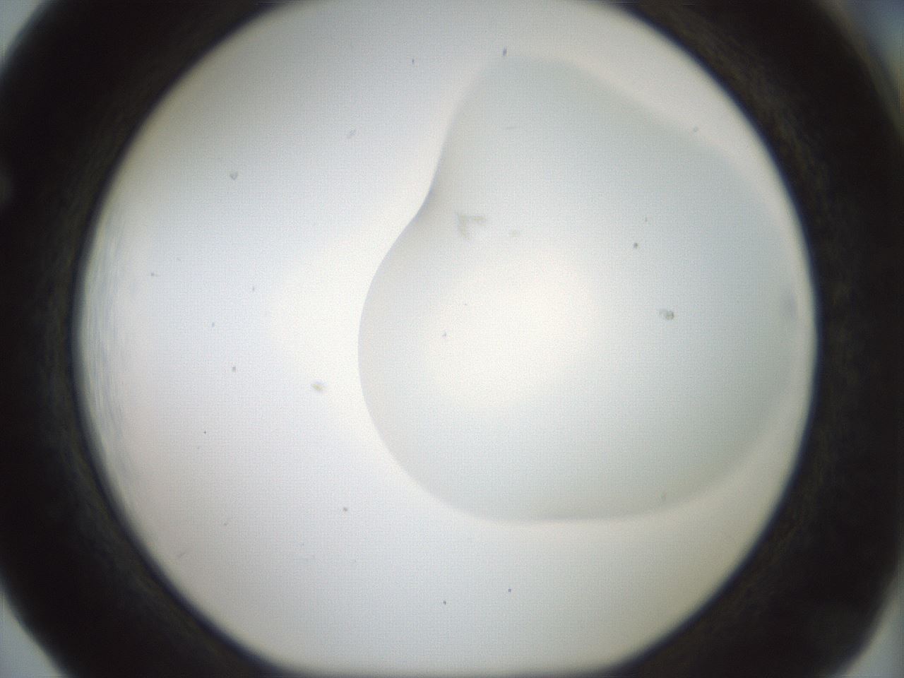 folderID200_plateID1200_batchID3525_wellNum65_profileID1_d1_r66431_ef.jpg
