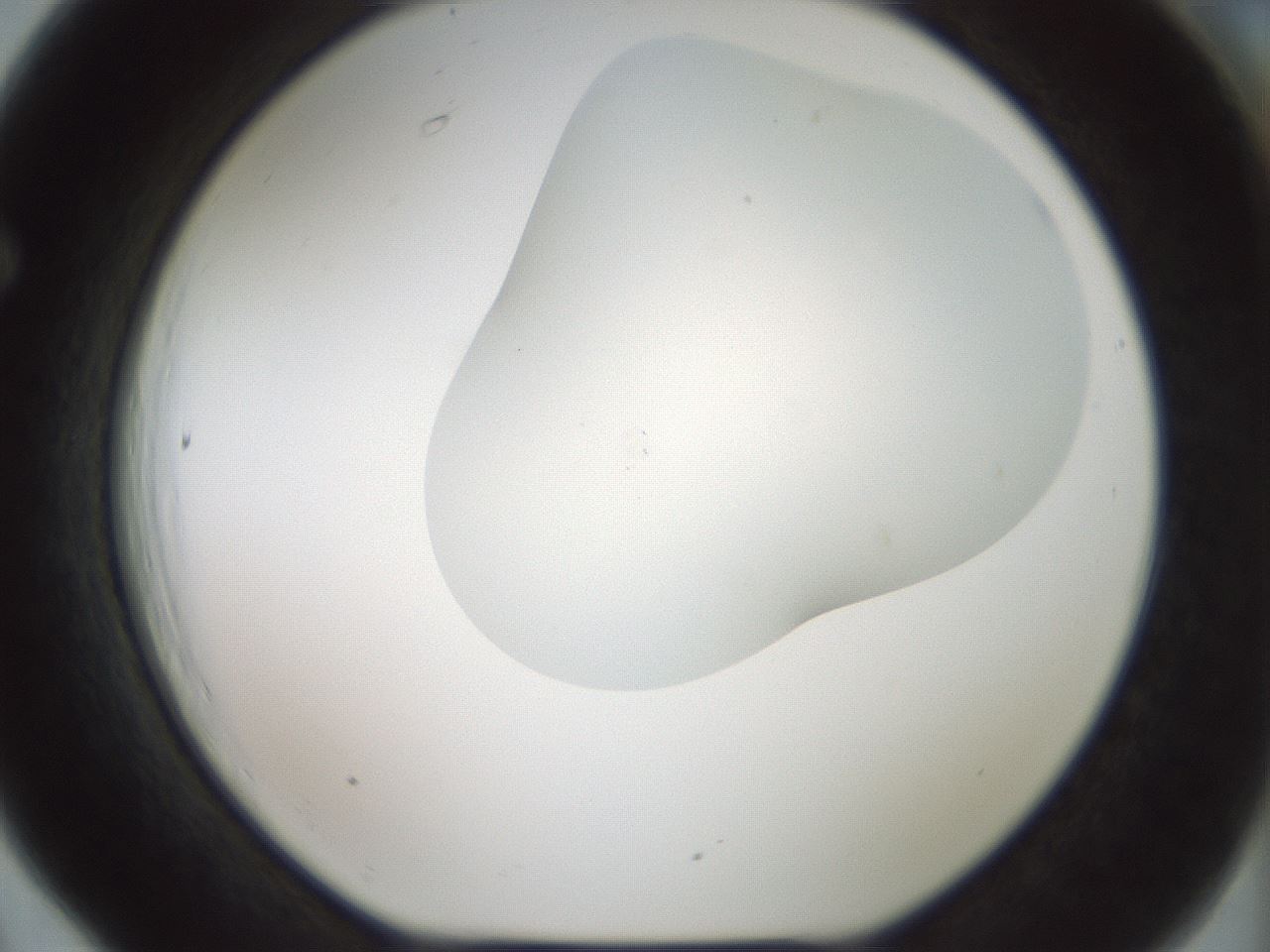 folderID200_plateID1200_batchID3525_wellNum66_profileID1_d1_r66432_ef.jpg