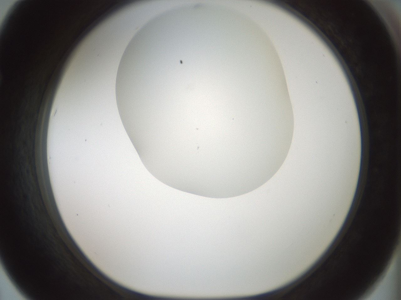folderID200_plateID1200_batchID3525_wellNum67_profileID1_d1_r66433_ef.jpg