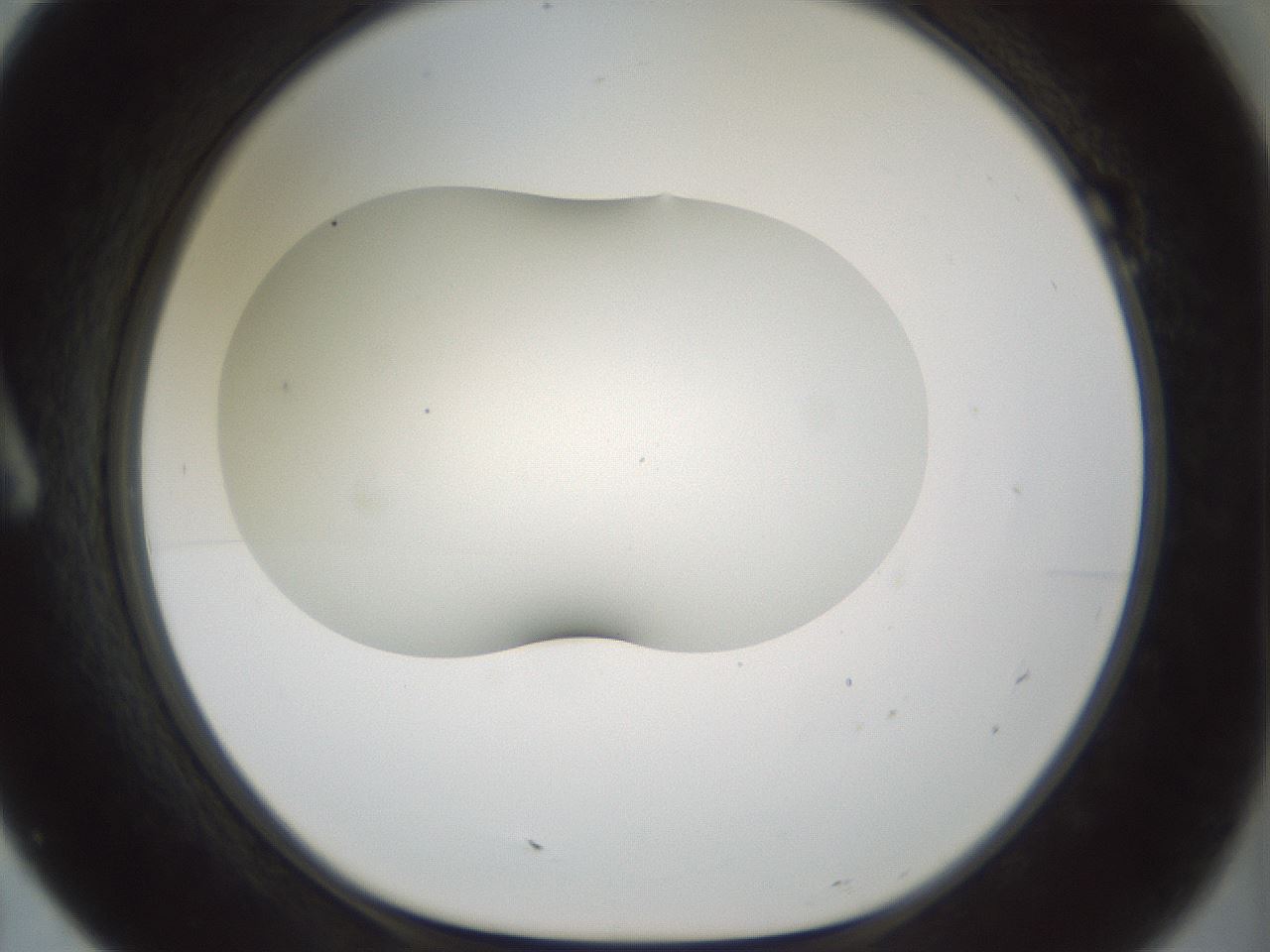 folderID200_plateID1200_batchID3525_wellNum7_profileID1_d1_r66373_ef.jpg