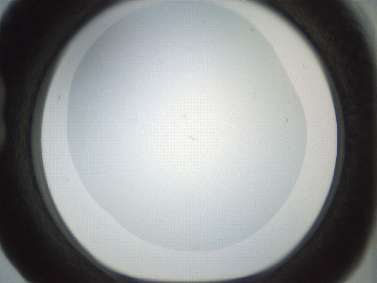 folderID210_plateID1210_batchID3713_wellNum17_profileID1_d1_r69760_ef.jpg